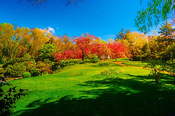 포토 JPG 해외이미지 나무 식물 전통 계절 공원 아시아 문화 호수 분홍색 단풍 낙엽 잎 오렌지 자연 휴식 어류 동양인 사람없음 야외 장식 가로 초록색 물 조각상 정원 일본 침묵 활발 프랑스 벚꽃 연못 최고 체리 아치 장면 분재 잉어 내추럴 정중 테마 해외202004 해외포토 자연요소 공공시설 꽃 유럽 나라 컬러 컨셉 과일 인종 조형물 수중동물 소리 생태계 파일형식 이미지허브
