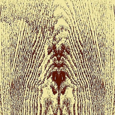 EPS 해외이미지 나무 디자인 외관 벽 가구 백그라운드 패턴 일러스트 자연 벽지 탁자 표면 추상 바닥 목재 장식 어둠 수확 소나무 판넬 거친 널 낟알 책상 질감 목공예 잡동사니 내추럴 그런지 수목 옛날 파케트 해외202004 해외일러스트 식물 생활용품 무늬 농업 재료 공예 생태계 파일형식 벡터 이미지허브