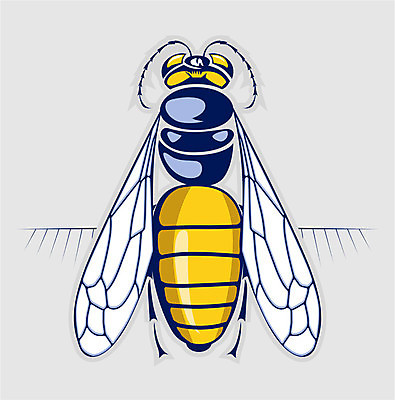 EPS 해외이미지 모양 동물 1 곤충 백그라운드 패턴 날개 오렌지 일러스트 자연 날리기 안테나 미술 갈색 노란색 봄 줄무늬 황금 벌레 꿀벌 벌 오브젝트 그림 생물학 꽃가루 꿀 찌르기 여왕 생태학 양발 호박벌 디테일 해외202004 해외일러스트 계절 교육 컬러 무늬 과일 통신 모션 문화예술 벌_곤충 가루 생태계 파일형식 벡터 이미지허브