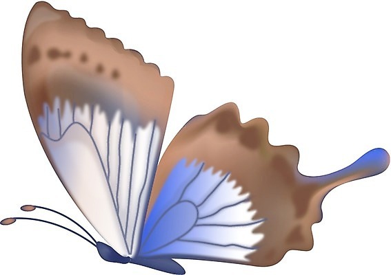 EPS 해외이미지 나비 곤충 백그라운드 날개 일러스트 자연 선물 여름 파란색 빛 컬러풀 검은색 봄 흰색 축하 편지 싱글 내추럴 고립 무료 해외202004 해외일러스트 동물 계절 컬러 컨셉 생태계 파일형식 벡터 이미지허브