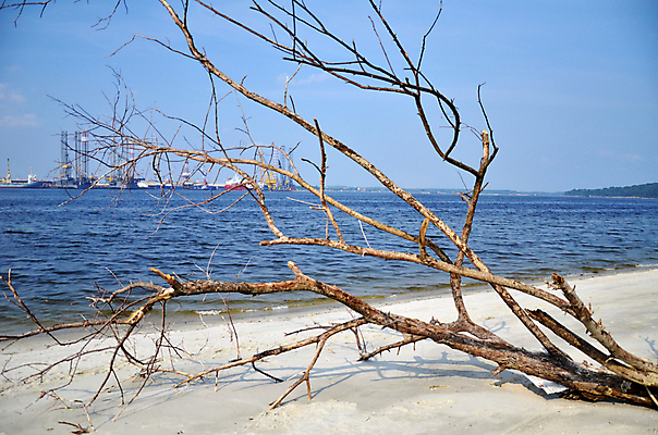 포토 JPG 해외이미지 나무 식물 구름 모래 파도 바다 섬 하늘 열대 따뜻함 풍경 사람없음 물 파란색 맑음 목욕 흰색 뜨거움 산호 조선소 기중기 싱가폴 고립 터키석 파라다이스 해외202004 해외포토 자연요소 산업 아시아 컬러 날씨 청결 중장비 자포동물 보석 파일형식 이미지허브