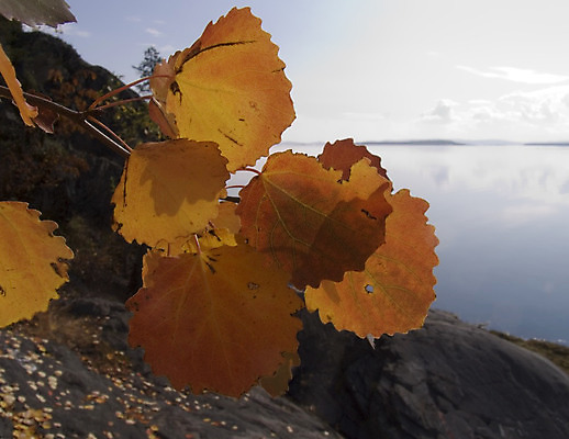 포토 JPG 해외이미지 나무 구름 바다 섬 여행 자연 하늘 풍경 사람없음 빨간색 초록색 물 파란색 햇빛 태양 반사 침묵 추위 바위 만 황금 가장자리 숲 장면 해외202004 해외포토 자연요소 식물 컬러 소리 돌_바위 둘레 생태계 파일형식 이미지허브