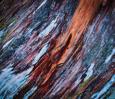 포토 JPG 해외이미지 나무 식물 디자인 선 벽 백그라운드 패턴 오렌지 자연 탁자 표면 추상 미술 사람없음 목재 초록색 컬러풀 갈색 어둠 나뭇가지 소나무 숲 자르기 질감 내추럴 수목 옛날 해외202004 해외포토 컬러 가구 무늬 과일 재료 모션 문화예술 생태계 파일형식 이미지허브