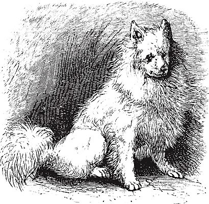 EPS 해외이미지 동물 척추동물 겨울 일러스트 포유류 털 미술 반려동물 검은색 하이킹 수확 골동품 흰색 개 인쇄 그림 팩 판화 늑대 알래스카 송곳니 그린란드 기르기 시베리아 옛날 해외202004 해외일러스트 계절 컬러 섬 농업 레저 문화예술 덴마크 미국 화장품 치아 돌봄 파일형식 벡터 이미지허브