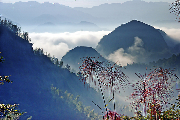 포토 JPG 해외이미지 구름 자연 산 갈대 풍경 사람없음 초록색 중국 생태학 해외202004 해외포토 자연요소 식물 교육 아시아 컬러 생태계 파일형식 이미지허브