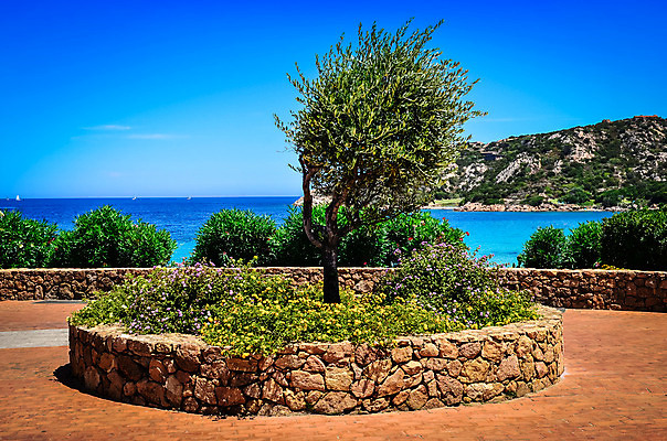 포토 JPG 해외이미지 나무 식물 꽃 유럽 바다 여행 하늘색 백그라운드 자연 하늘 휴가 풍경 사람없음 초록색 물 여름 파란색 컬러풀 정원 이탈리아 수확 소나무 지중해 복고 소셜네트워크 이국적 파라다이스 해외202004 해외포토 자연요소 계절 나라 컬러 농업 생태계 파일형식 이미지허브