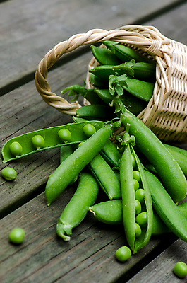 포토 JPG 해외이미지 식물 음식 백그라운드 컨셉 잎 채소 과일 재료 자연 콩 아이디어 프레임 건강 사람없음 세로 초록색 정원 어둠 수확 껍질 신선 오픈 그룹 시장 선택 달콤 큼 먹기 가득함 오브젝트 유기농 완두콩 날것 각도 슛 꼬투리 숙성 줄서기 채식주의자 해외202004 해외포토 웰빙 컬러 농업 모션 곡류 맛 크기 생태계 채식 파일형식 이미지허브