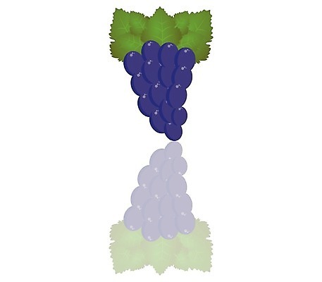 EPS 해외이미지 클립아트 디자인 열매 실루엣 음식 잎 과일 일러스트 탁자 포도 매달리기 건강 그래픽 빨간색 농장 와인 보라색 흰색 플랫 달콤 다발 유기농 날것 윤곽 포도밭 포도나무 내추럴 고립 메를로 입가심 해외202004 해외일러스트 식물 웰빙 컬러 가구 밭 농업 모션 주류 촬영기법 맛 과일나무 파일형식 벡터 이미지허브