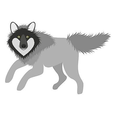 포토 JPG 해외이미지 동물 디자인 야생동물 일러스트 포유류 자연 털 요정 이야기 미술 사람없음 목재 회색 숲 만화 그림 꼬리 육식동물 늑대 송곳니 스타일 해외202004 해외포토 나무 컬러 재료 문화예술 치아 생태계 파일형식 이미지허브