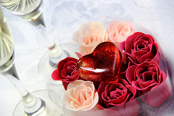 포토 JPG 해외이미지 꽃잎 꽃 안경 분홍색 꽃다발 결혼 유리 탁자 결혼식 휴가 발렌타인데이 선물 사랑 사람없음 내부 장식 빨간색 장미 요식업 와인 축제 흰색 하트 축하 화려 고급 샴페인 크리스탈 배열 심볼 열정 특별함 해외202004 해외포토 모양 식물 잡화 감정 산업 컬러 가구 컨셉 데이이벤트 재질 주류 이벤트 광석 파일형식 이미지허브