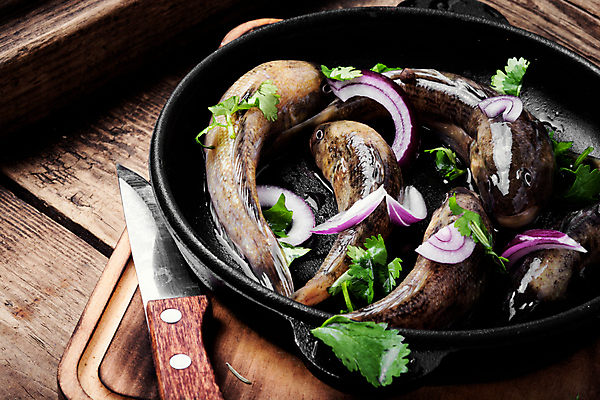 포토 JPG 해외이미지 음식 바다 다이어트 탁자 낚시 파슬리 어류 요리 사람없음 강 주방 튀김 시골 신선 양념 칼 지중해 허브 해산물 향신료 준비 복고 날것 낚시꾼 지역 레시피 후추 단백질 생식 해외202004 해외포토 식물 가구 채소 레저 건강 수중동물 영양소 향미료 파일형식 이미지허브