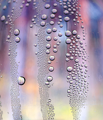 포토 JPG 해외이미지 모양 계절 백그라운드 일러스트 자연 추상 사람없음 초록색 물 파란색 빛 반사 보라색 젖음 흐름 추위 물방울 신선 얼룩 원형 투명 액체 떨어짐 매끈함 수분 빗방울 질감 광택 잔물결 해외202004 해외포토 자연요소 도형 물결 컬러 컨셉 무늬 감각 비_날씨 생태계 파일형식 이미지허브