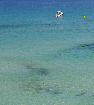 포토 JPG 해외이미지 유럽 바다 섬 여행 하늘색 백그라운드 컨셉 자연 낚시 휴가 따뜻함 풍경 사람없음 야외 물 여름 파란색 침묵 자유 흰색 만 투명 보트 스페인 지중해 그리스 터키석 파라다이스 해외202004 해외포토 자연요소 계절 나라 컬러 배_교통 레저 소리 보석 생태계 파일형식 이미지허브