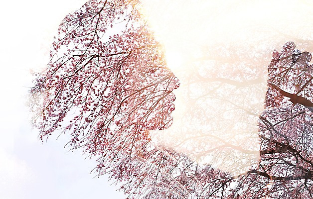 PSD 식물 편집 편집이미지 계절 여자 실루엣 한명 사람 성인 카메라 봄 벚꽃 신비 합성 다중노출 여자만 여자한명만 성인여자만 성인만 이미지편집 1 꽃 컨셉 촬영기법 전자제품 파일형식