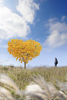 JPG 주간 나무 식물 구름 편집 편집이미지 계절 여자 여행 하늘 갈대 한명 사람 동양인 풍경 성인 야외 한국인 가을 하트 합성 디지털아트 여자만 여자한명만 성인여자만 성인만 편집실사 자연요소 모양 1 인종 CG 파일형식
