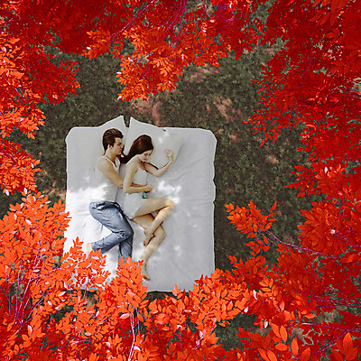 JPG 서양인 외국인 식물 편집 편집이미지 커플 계절 여자 남자 베개 나뭇잎 사람 성인 두명 이불 가을 침대 잠 합성 디지털아트 성인만 편집실사 가구 잎 관계 침구 인종 CG 파일형식