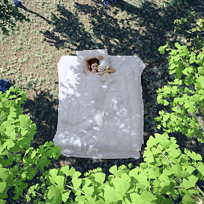 JPG 서양인 외국인 식물 편집 편집이미지 여자 베개 나뭇잎 한명 사람 성인 곰인형 이불 침대 잠 은행잎 합성 디지털아트 여자만 여자한명만 성인여자만 성인만 편집실사 1 인형 가구 잎 침구 인종 CG 파일형식