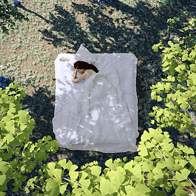 JPG 서양인 외국인 식물 편집 편집이미지 여자 베개 한명 사람 성인 이불 침대 잠 은행잎 합성 디지털아트 여자만 여자한명만 성인여자만 성인만 편집실사 1 가구 잎 침구 인종 CG 파일형식