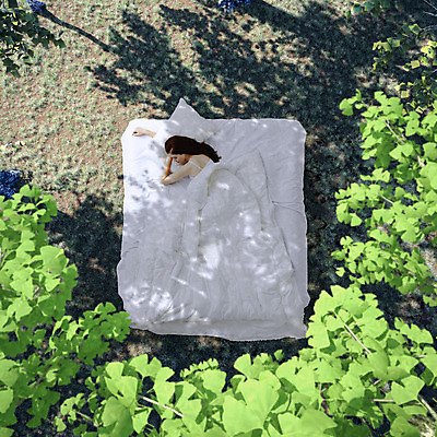 JPG 서양인 외국인 식물 편집 편집이미지 여자 베개 한명 사람 성인 이불 침대 잠 은행잎 합성 디지털아트 여자만 여자한명만 성인여자만 성인만 편집실사 1 가구 잎 침구 인종 CG 파일형식