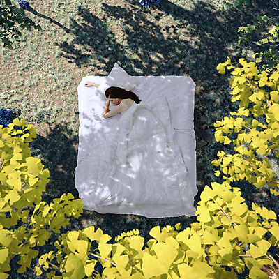 JPG 서양인 외국인 식물 편집 편집이미지 여자 베개 한명 사람 성인 이불 침대 잠 은행잎 합성 디지털아트 여자만 여자한명만 성인여자만 성인만 편집실사 1 가구 잎 침구 인종 CG 파일형식