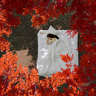 JPG 서양인 외국인 식물 편집 편집이미지 계절 여자 베개 나뭇잎 한명 사람 성인 이불 가을 침대 잠 합성 디지털아트 여자만 여자한명만 성인여자만 성인만 편집실사 1 가구 잎 침구 인종 CG 파일형식