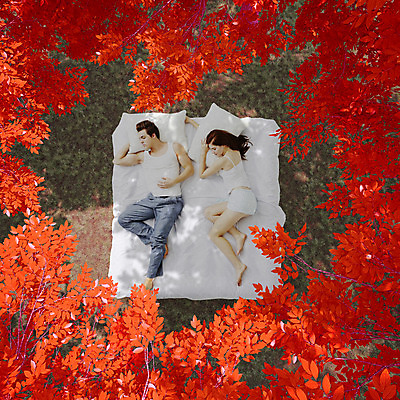 JPG 서양인 외국인 식물 편집 편집이미지 커플 계절 여자 남자 베개 나뭇잎 사람 성인 두명 가을 침대 잠 합성 디지털아트 성인만 편집실사 가구 잎 관계 침구 인종 CG 파일형식
