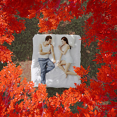JPG 서양인 외국인 식물 편집 편집이미지 커플 계절 여자 남자 베개 나뭇잎 사람 성인 두명 마주보기 가을 침대 합성 디지털아트 성인만 편집실사 가구 잎 관계 침구 모션 인종 CG 파일형식