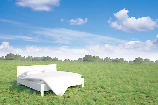 JPG 주간 나무 식물 구름 편집 편집이미지 자연 하늘 잔디 사람없음 야외 이불 침대 숲 합성 디지털아트 편집실사 자연요소 가구 침구 CG 생태계 파일형식