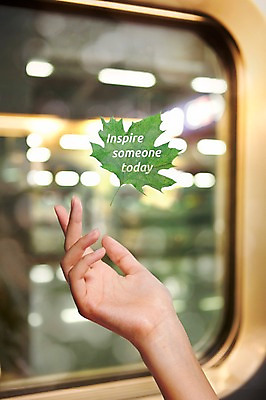 JPG 편집 편집이미지 손 창문 나뭇잎 사람 아웃포커스 신체부위 합성 디지털아트 편집실사 잎 촬영기법 CG 파일형식