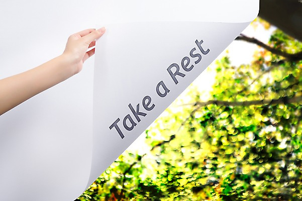 JPG 나무 식물 편집 편집이미지 손 종이 휴식 사람 신체부위 합성 디지털아트 편집실사 컨셉 CG 파일형식