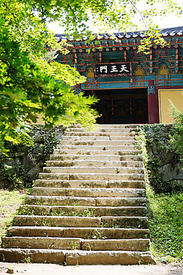 포토 JPG 주간 나무 식물 한국문화 계절 종교 고건축 불교 한국 풍경 사람없음 야외 여름 계단 여름풍경 문화재 사찰 풀 경상북도 과거 부석사 영주 국내포토 자연요소 동양문화 건축물 아시아 컨셉 종교건축 경상도 파일형식 여름_계절