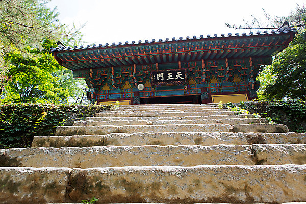 포토 JPG 주간 나무 식물 한국문화 계절 종교 고건축 불교 한국건축 한국 풍경 사람없음 야외 여름 계단 여름풍경 문화재 사찰 경상북도 과거 돌계단 부석사 영주 국내포토 자연요소 동양문화 건축물 건축 아시아 컨셉 종교건축 돌_바위 경상도 파일형식 여름_계절