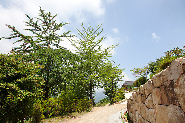 포토 JPG 주간 나무 식물 구름 계절 종교 불교 자연 하늘 한국 돌담 풍경 사람없음 야외 여름 여름풍경 문화재 사찰 경상북도 과거 부석사 영주 국내포토 자연요소 아시아 컨셉 종교건축 담장 돌_바위 경상도 생태계 파일형식 여름_계절