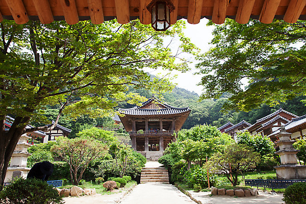 포토 JPG 주간 나무 식물 한국문화 계절 종교 고건축 불교 한국건축 전등 한국 풍경 사람없음 야외 여름 탑 여름풍경 문화재 사찰 경상북도 과거 범종각 범종루 부석사 영주 국내포토 자연요소 동양문화 건축물 건축 아시아 컨셉 종교건축 조명 경상도 파일형식 여름_계절