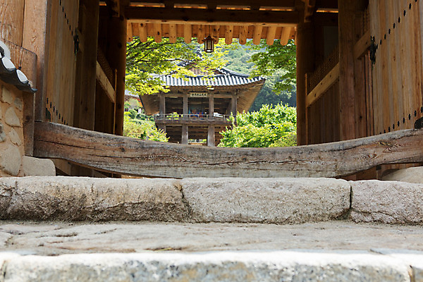 포토 JPG 주간 한국문화 계절 종교 고건축 불교 한국건축 한국 풍경 사람없음 야외 여름 여름풍경 문화재 사찰 경상북도 대문 과거 부석사 영주 국내포토 자연요소 동양문화 건축물 건축 아시아 컨셉 종교건축 문 경상도 파일형식 여름_계절