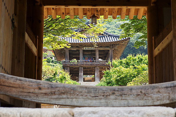 포토 JPG 주간 나무 식물 한국문화 계절 종교 고건축 불교 한국건축 한국 풍경 사람없음 야외 여름 여름풍경 문화재 사찰 경상북도 정자 대문 과거 범종루 부석사 영주 국내포토 자연요소 동양문화 건축물 건축 아시아 컨셉 종교건축 문 경상도 파일형식 여름_계절