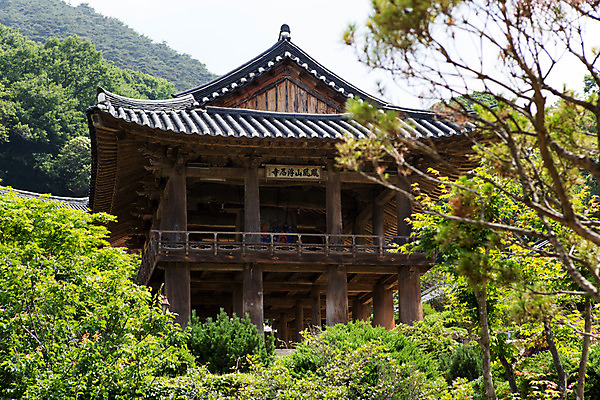 포토 JPG 주간 나무 식물 한국문화 계절 종교 고건축 불교 한국건축 자연 한국 풍경 사람없음 야외 여름 여름풍경 문화재 사찰 경상북도 정자 과거 범종루 부석사 영주 현판 국내포토 자연요소 동양문화 건축물 건축 아시아 컨셉 종교건축 경상도 생태계 파일형식 여름_계절