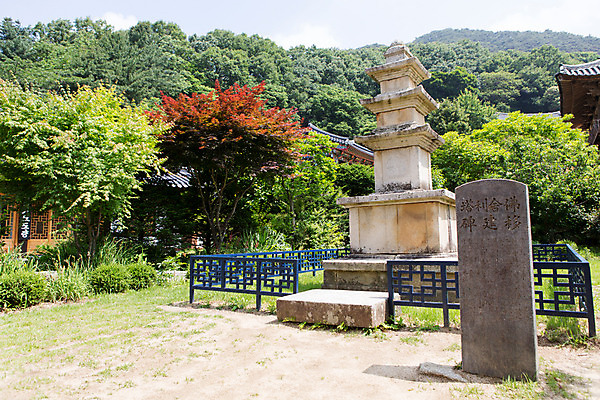 포토 JPG 주간 나무 식물 한국문화 계절 종교 고건축 불교 한국건축 한국 풍경 사람없음 야외 여름 여름풍경 문화재 사찰 경상북도 비석 과거 부석사 삼층석탑 영주 국내포토 자연요소 동양문화 건축물 건축 아시아 컨셉 종교건축 석탑 경상도 파일형식 여름_계절