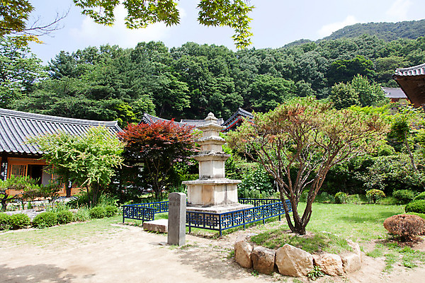 포토 JPG 주간 나무 식물 한국문화 계절 종교 고건축 불교 한국건축 한국 풍경 사람없음 야외 여름 탑 여름풍경 문화재 사찰 경상북도 비석 과거 부석사 삼층석탑 영주 국내포토 자연요소 동양문화 건축물 건축 아시아 컨셉 종교건축 석탑 경상도 파일형식 여름_계절