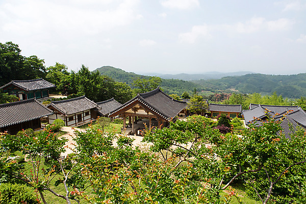 포토 JPG 주간 나무 식물 구름 한국문화 계절 종교 고건축 불교 한국건축 하늘 한국 풍경 사람없음 야외 여름 여름풍경 문화재 사찰 경상북도 과거 부석사 영주 국내포토 자연요소 동양문화 건축물 건축 아시아 컨셉 종교건축 경상도 파일형식 여름_계절