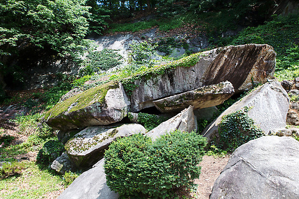 포토 JPG 주간 나무 식물 한국문화 계절 종교 고건축 불교 자연 한국 이끼 풍경 사람없음 야외 여름 여름풍경 문화재 풀 경상북도 과거 부석 부석사 영주 국내포토 자연요소 동양문화 건축물 아시아 컨셉 경상도 생태계 파일형식 여름_계절