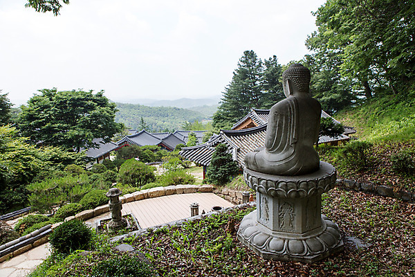 포토 JPG 주간 나무 식물 한국문화 계절 종교 고건축 불교 한국건축 한국 풍경 사람없음 야외 여름 조각상 여름풍경 문화재 사찰 경상북도 부처 과거 부석사 영주 국내포토 자연요소 동양문화 건축물 건축 아시아 컨셉 종교건축 조형물 경상도 파일형식 여름_계절