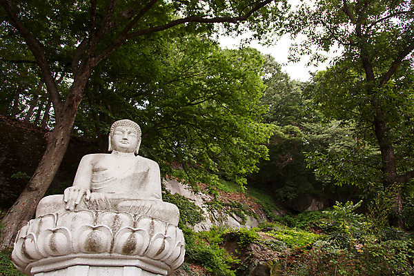 포토 JPG 주간 나무 식물 한국문화 계절 종교 불교 자연 한국 풍경 사람없음 야외 여름 조각상 여름풍경 문화재 사찰 경상북도 부처 과거 부석사 영주 국내포토 자연요소 동양문화 아시아 컨셉 종교건축 조형물 경상도 생태계 파일형식 여름_계절