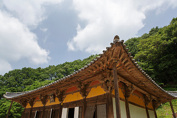 포토 JPG 주간 나무 식물 구름 한국문화 계절 종교 로우앵글 고건축 불교 한국건축 자연 하늘 한국 풍경 사람없음 야외 여름 여름풍경 문화재 사찰 경상북도 과거 부석사 영주 무량수전 국내포토 자연요소 동양문화 건축물 건축 아시아 뷰포인트 컨셉 종교건축 경상도 생태계 파일형식 여름_계절