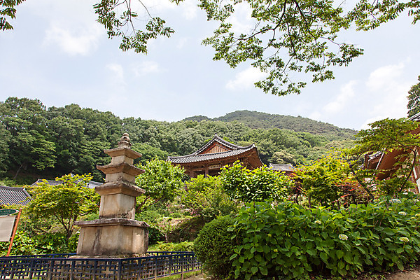 포토 JPG 주간 나무 식물 구름 한국문화 계절 종교 고건축 불교 한국건축 하늘 한국 풍경 사람없음 야외 여름 여름풍경 문화재 사찰 풀 경상북도 과거 부석사 삼층석탑 영주 국내포토 자연요소 동양문화 건축물 건축 아시아 컨셉 종교건축 석탑 경상도 파일형식 여름_계절