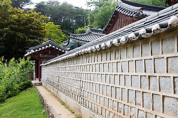 포토 JPG 주간 나무 식물 한국문화 계절 고건축 유적 한국건축 자연 한국 돌담 풍경 사람없음 야외 여름 여름풍경 문화재 과거 도산서원 서원 안동 국내포토 자연요소 동양문화 전통 건축물 건축 아시아 컨셉 담장 돌_바위 경상북도 생태계 파일형식 여름_계절