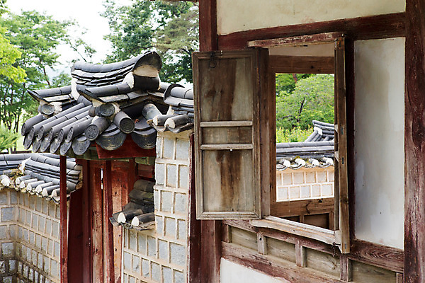 포토 JPG 주간 나무 식물 한국문화 계절 고건축 유적 한국건축 창문 자연 한국 풍경 사람없음 야외 여름 문 여름풍경 문화재 과거 도산서원 서원 안동 국내포토 자연요소 동양문화 전통 건축물 건축 아시아 컨셉 경상북도 생태계 파일형식 여름_계절