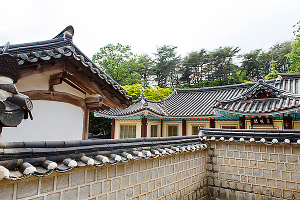 포토 JPG 주간 나무 식물 한국문화 계절 고건축 유적 한국건축 자연 하늘 한국 돌담 풍경 사람없음 야외 여름 여름풍경 문화재 과거 도산서원 서원 안동 국내포토 자연요소 동양문화 전통 건축물 건축 아시아 컨셉 담장 돌_바위 경상북도 생태계 파일형식 여름_계절
