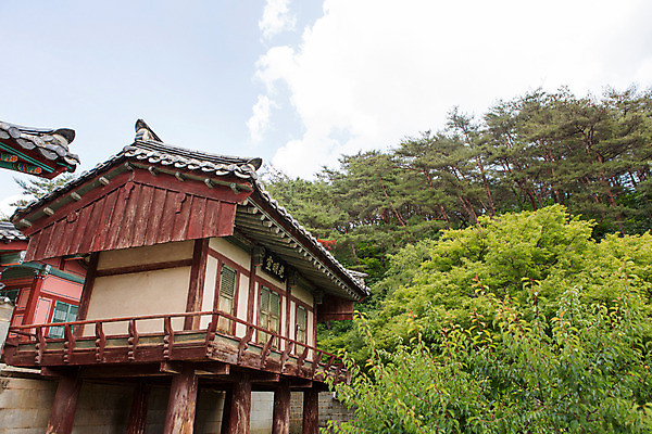 포토 JPG 주간 나무 식물 구름 한국문화 계절 고건축 유적 한국건축 자연 하늘 한국 풍경 사람없음 야외 여름 여름풍경 문화재 과거 도산서원 서원 안동 국내포토 자연요소 동양문화 전통 건축물 건축 아시아 컨셉 경상북도 생태계 파일형식 여름_계절