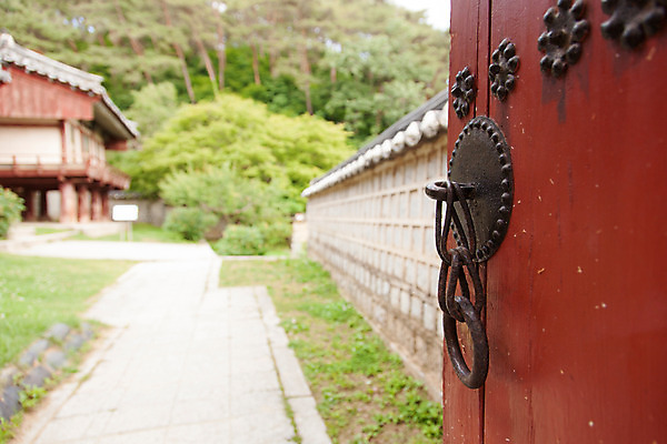 포토 JPG 주간 나무 식물 한국문화 계절 고건축 유적 한국건축 자연 한국 손잡이 풍경 사람없음 야외 여름 문 여름풍경 문화재 과거 도산서원 서원 안동 국내포토 자연요소 동양문화 전통 건축물 건축 아시아 컨셉 경상북도 생태계 파일형식 여름_계절